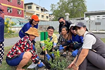 Tree Planting Events and Sapling Donations